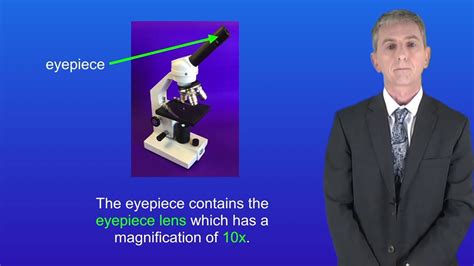 Microscopes GCSE Free Science Lessons 的图像结果