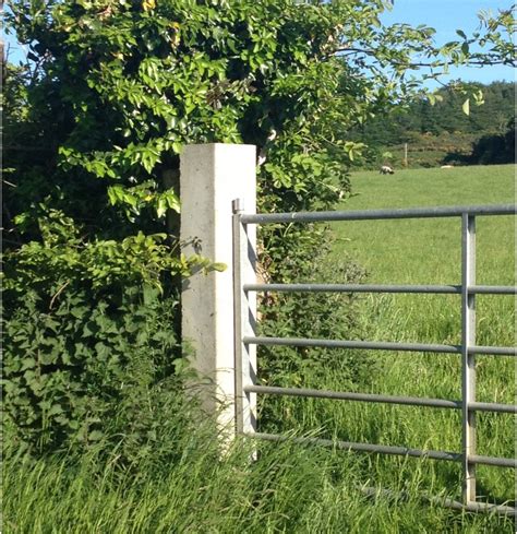 Image result for Postmaster Gate Build