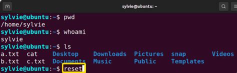 Image result for Clean Command in Linux