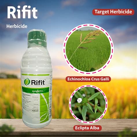 Syngenta Rifit Herbicide – Agriplex