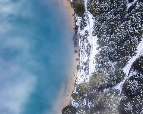 Download wallpaper 1280x1024 forest, trees, aerial view, ice, snow ...