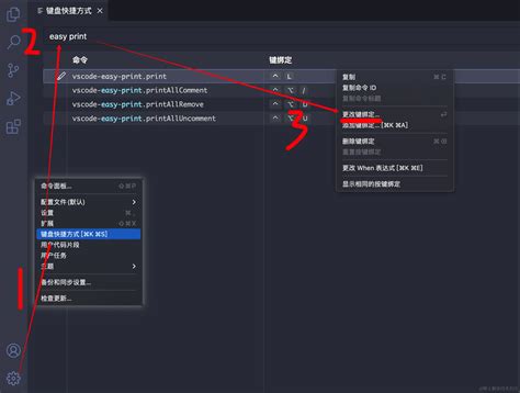 Print PDF from VSCode 的图像结果
