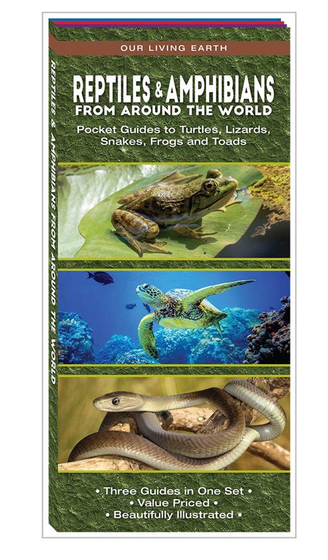 Buy Reptiles & Amphibians from Around the World: Pocket Guides to ...