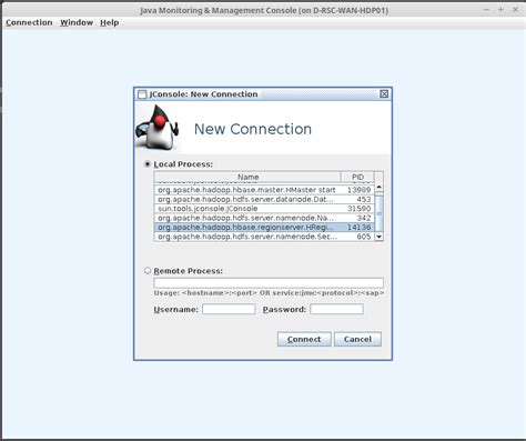 Image result for JConsole Java SE Development Kit