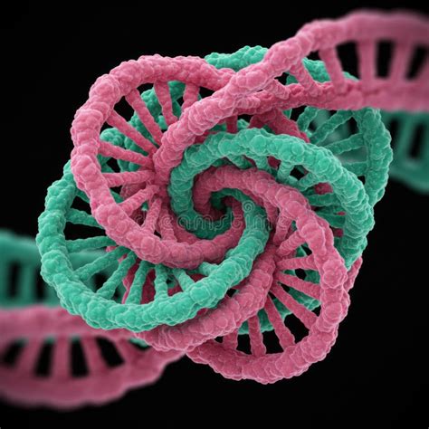 DNA Structure 的图像结果