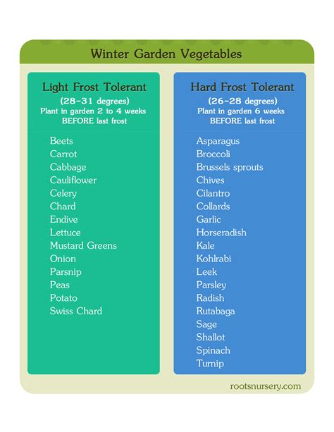 Winter Garden: Cold Hardy Winter Vegetables - Roots Nursery