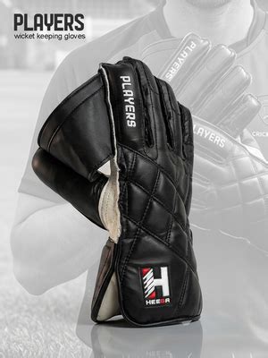Buy Heega Players Leather Cricket Wicket Keeping Gloves Black for ...
