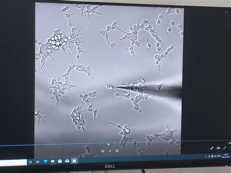 Rajiv Gandhi Centre for Biotechnology (RGCB)