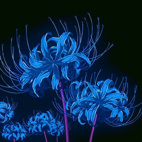 Blue Spider Lily👁️‍🗨️ | Lírios, Fadas vintage, Wallpapers bonitos