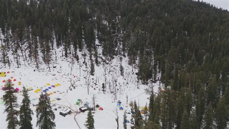 Image result for Hung Muscle Compilation