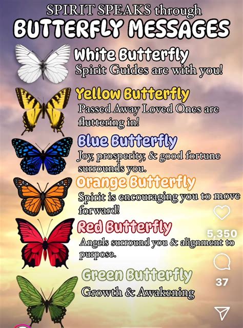 Pin by Wolflook on Symbols | Spirituality, Butterfly meaning, Spirit ...