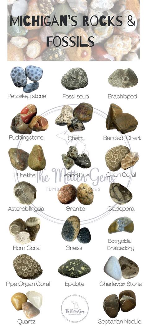 Michigan’s Rocks and Fossil Identification Card / 4x9 Photo of Rocks ...