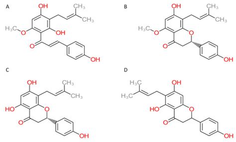 Foods | Special Issue : Bioactive Compounds, Antioxidants, and Health ...