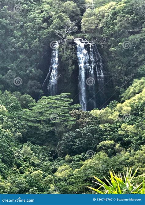 Opaekaa Falls, Kauai, Hawaii, USA Stock Image - Image of hiking ...