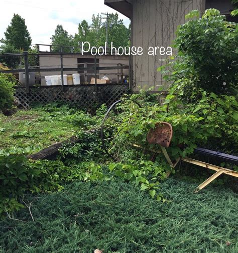 FRONT ROYAL RV CAMPGROUND (Shenandoah National Park) - Campground ...