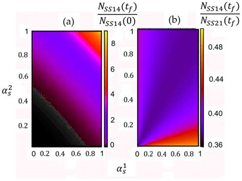 A Mathematical Model to Optimize the Neoadjuvant Chemotherapy Treatment ...