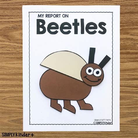 Beetle Craft - Simply Kinder Plus