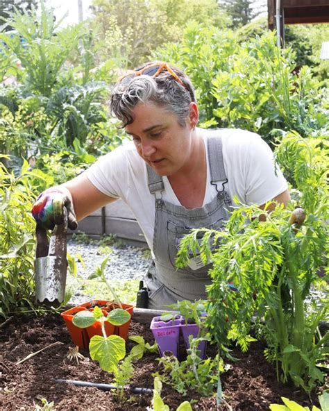 Image result for Colour Coding Experiment