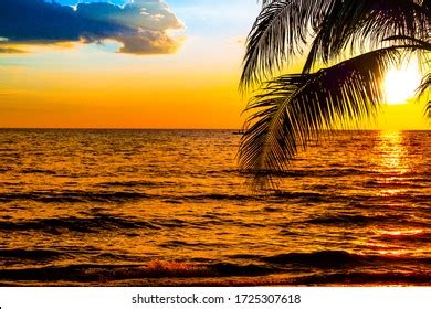Image result for Sunset Climb O2