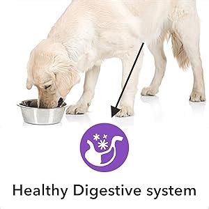 Buy Drools Absolute Digestive Tablet Dog Supplement, 50 Pieces Online ...