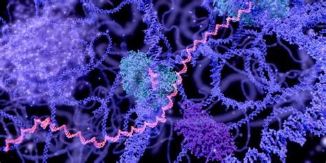 Image result for Geometric Math Problem
