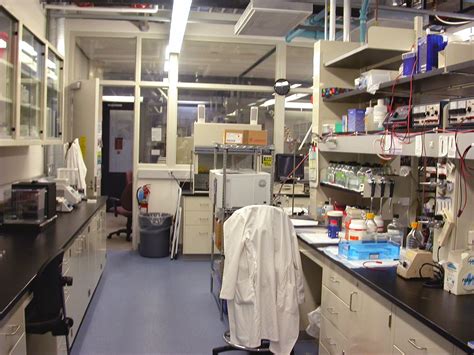 Image result for Lab Walkthrough