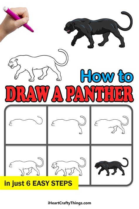 Image result for Draw Panther Tutorial
