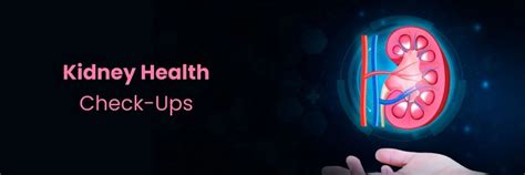 Assessments & Check-Ups for Effective Kidney Health Monitoring