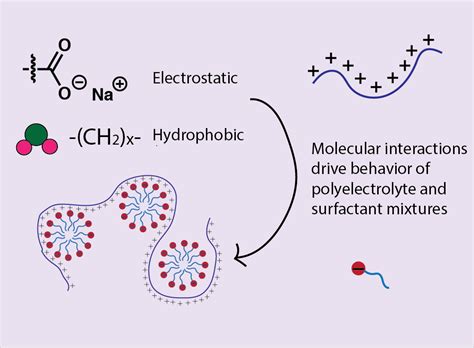 Intermolecular Interactions in Polyelectrolyte and Surfactant Complexes ...