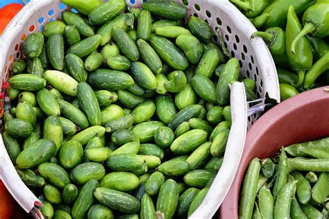Pune doctor reveals 6 super Indian veggies that can help control ...