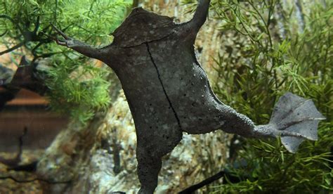 GREATER CLEVELAND AQUARIUM (2026) All You Need to Know BEFORE You Go ...