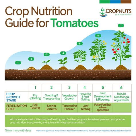 Essential Nutrients Required For Crops: A Grower’s Guide