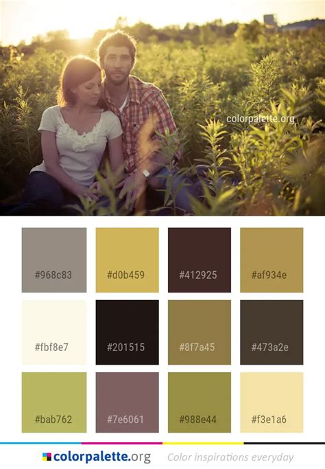 Creative Color Photography 的图像结果