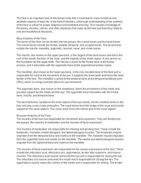 Anatomy of the face - The face is an important area of the human body ...