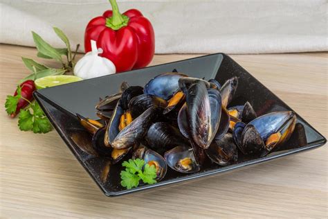 Image result for Lateral View Musselshell