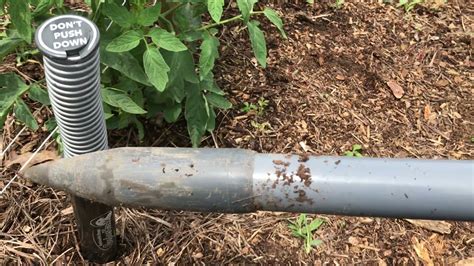 Image result for Setting a Gopher Hawk