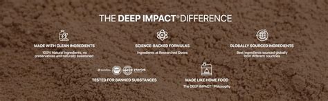 Deep Impact Plant Based Protein Powder (24g Per scoop) | Chocolate Chip ...