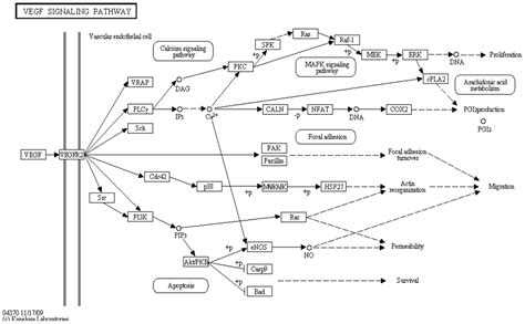 State of the Art in Silico Tools for the Study of Signaling Pathways in ...