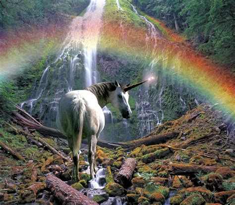 [100+] Real Unicorn Pictures | Wallpapers.com