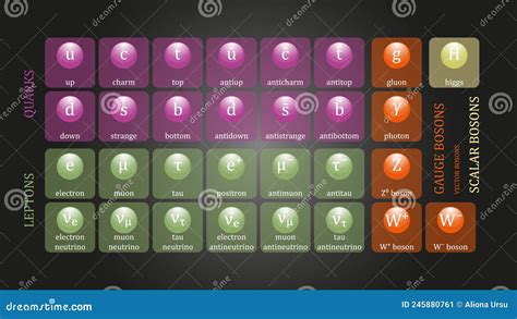 Standard Model 的图像结果