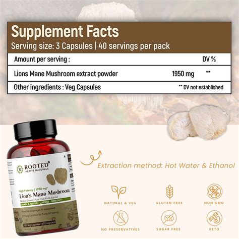 Buy ROOTED ACTIVES- LIONS MANE MUSHROOM EXTRACT 1950MG* - PURE FRUIT ...