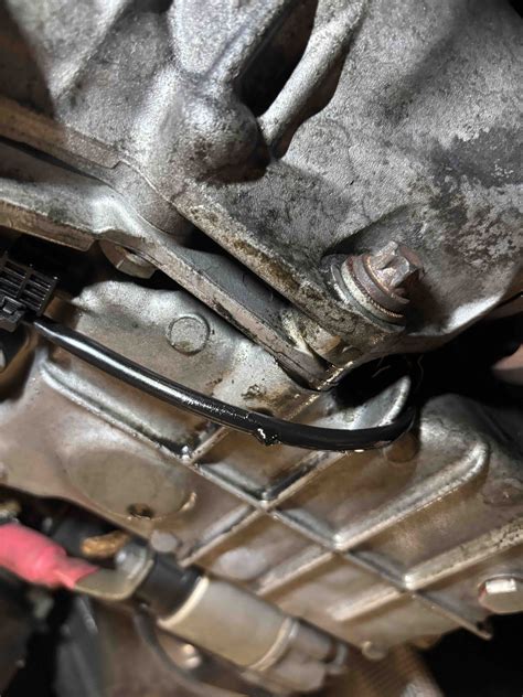 Mysterious oil leak N47 | BMW Forums : BimmerForums