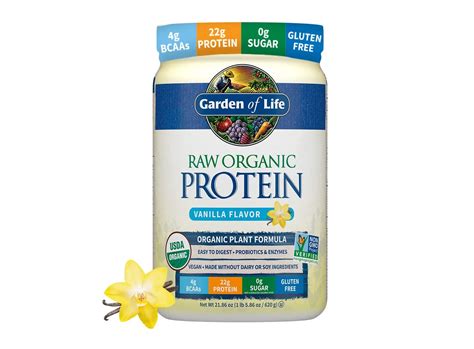 6 Best-Tasting Vegan Protein Powder You Can't Miss