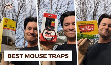 Image result for Best Mouse Trap Designs