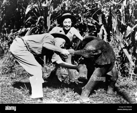 Martin osa johnson Banque de photographies et d’images à haute ...