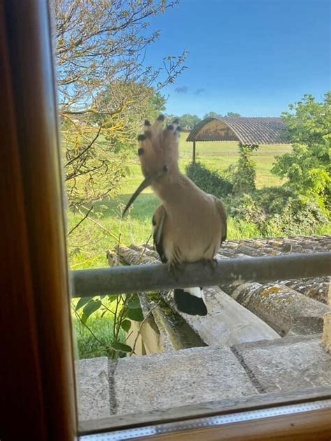 AGRITURISMO GLI OLMI (Castel Ritaldi) - Villa Reviews & Photos ...