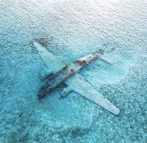 Wrecked drug smuggling plane of Pablo Escobar resting beneath the ...