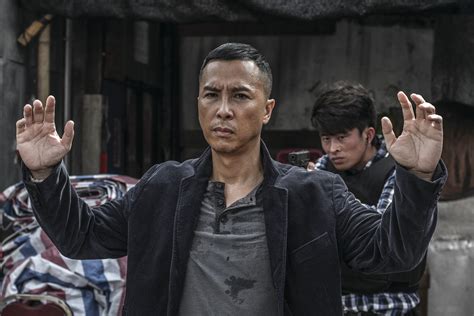 Kung Fu Jungle (2014)