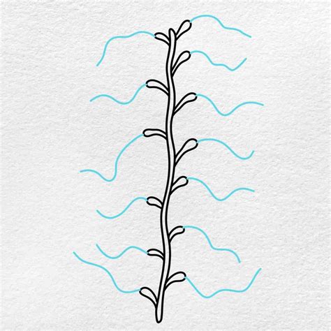 How to Draw Kelp - HelloArtsy