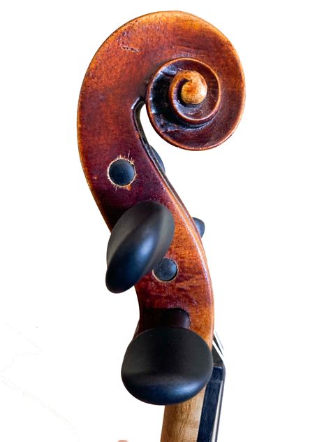 Rare String Instruments 的图像结果